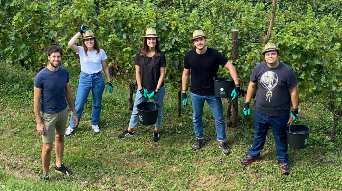 Un gruppo di cinque persone, in mezzo ai vigneti, con guanti e contenitori per raccogliere l'uva sorride alla fotocamera