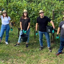 Un gruppo di cinque persone, in mezzo ai vigneti, con guanti e contenitori per raccogliere l'uva sorride alla fotocamera