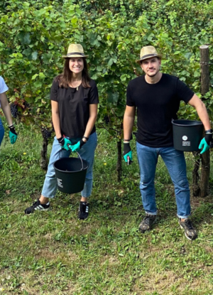 Un gruppo di cinque persone, in mezzo ai vigneti, con guanti e contenitori per raccogliere l'uva sorride alla fotocamera