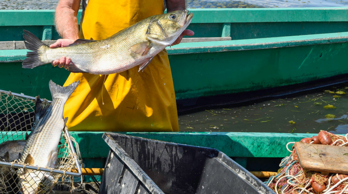 Un pescatore tiene in mano un grosso pesce appena pescato sulla barca