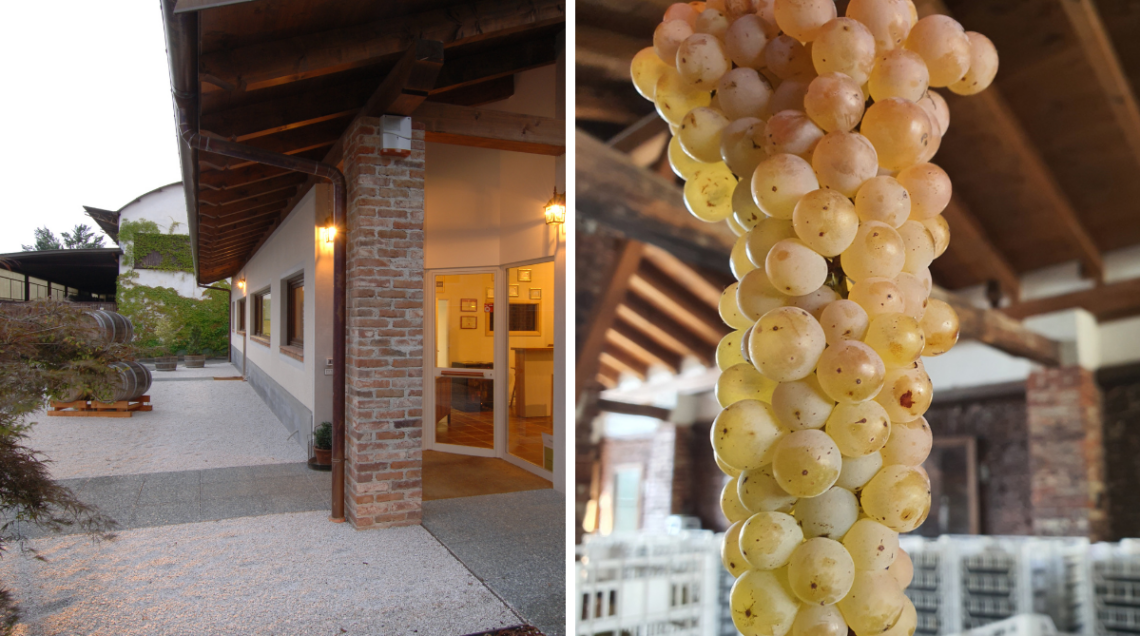 L&rsquo;azienda Orsolani a San Giorgio canavese