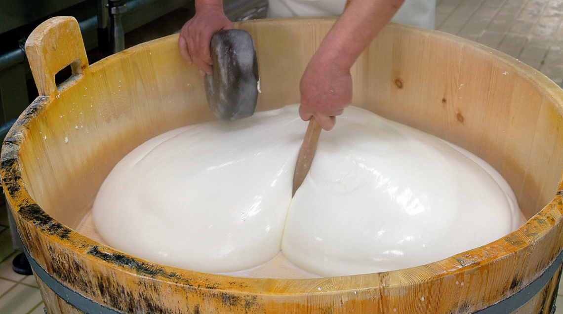 Fase di lavorazione della mozzarella di Bufala