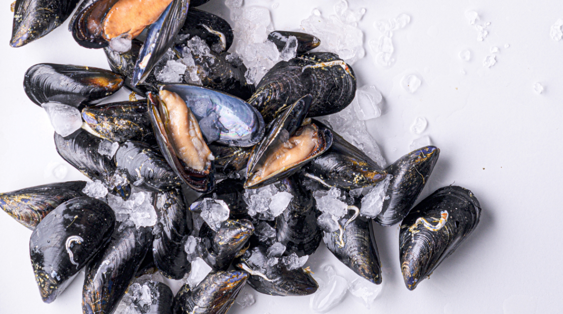 cozze, alcune chiuse, altre aperte e del ghiaccio che si sta sciogliendo