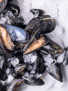 cozze, alcune chiuse, altre aperte e del ghiaccio che si sta sciogliendo