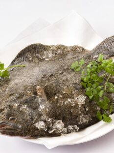 rombo fresco su un piatto con ghiaccio e prezzemolo