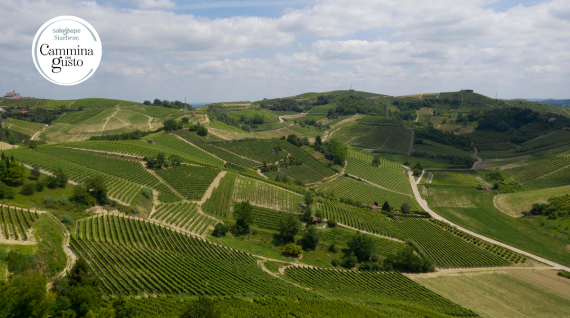 Paesaggio delle colline del Roero