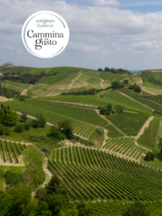 Paesaggio delle colline del Roero