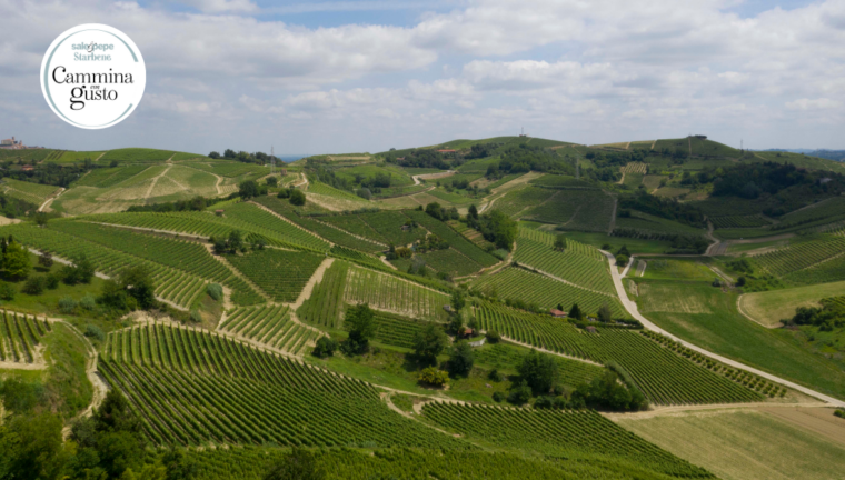 Paesaggio delle colline del Roero