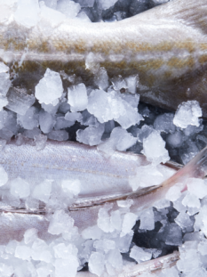 code di pesce ricoperte di ghiaccio