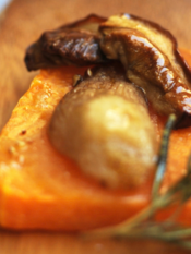 Quadretto di zucca con un porcino