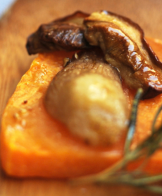 Quadretto di zucca con un porcino