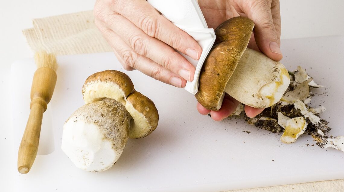 Porcini puliti con coltellino e panno