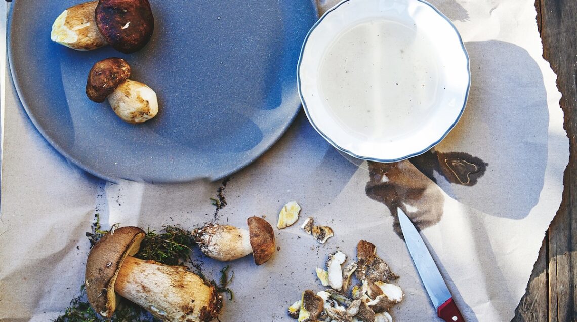 Funghi porcini da pulire e già puliti con coltellino e pezzuola