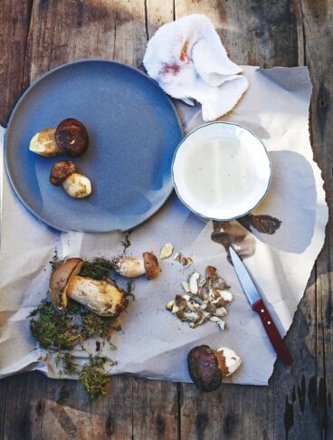 Funghi porcini da pulire e già puliti con coltellino e pezzuola