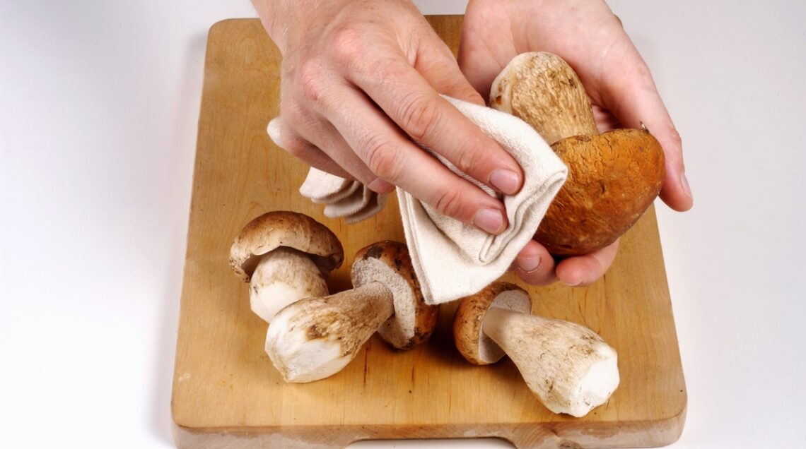 Porcini puliti con un panno umido