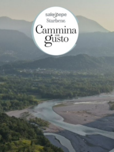 il cammino Romea Strata