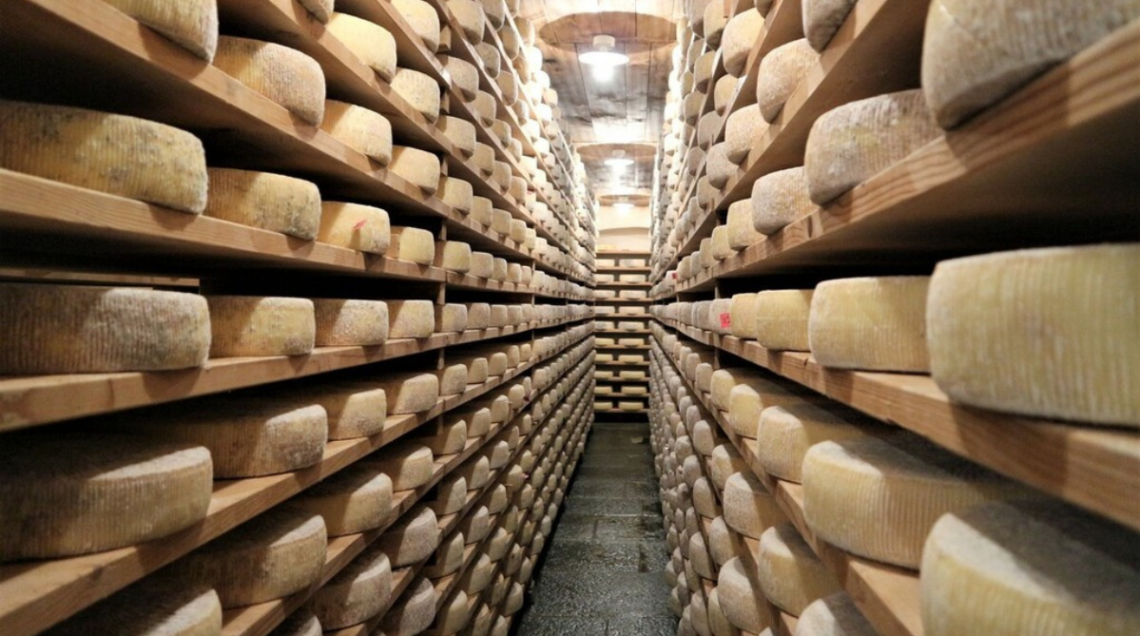 forme di formaggio a stagionare