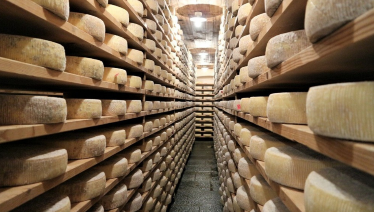 forme di formaggio a stagionare