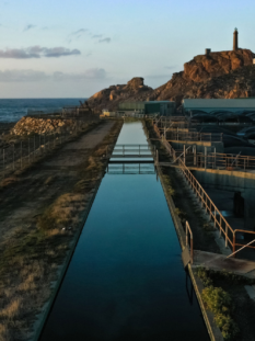 impianti di acquacoltura nelNord Atlantico