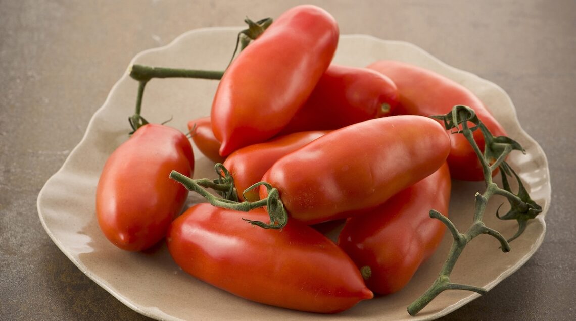 pomodori San Marzano