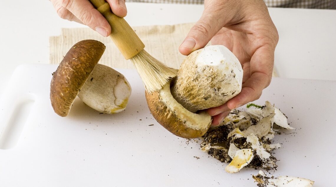 Funghi porcini puliti con un pennellino