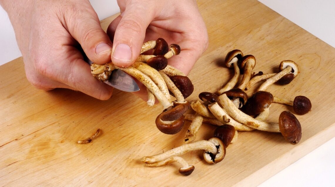 Pioppini puliti con un coltellino