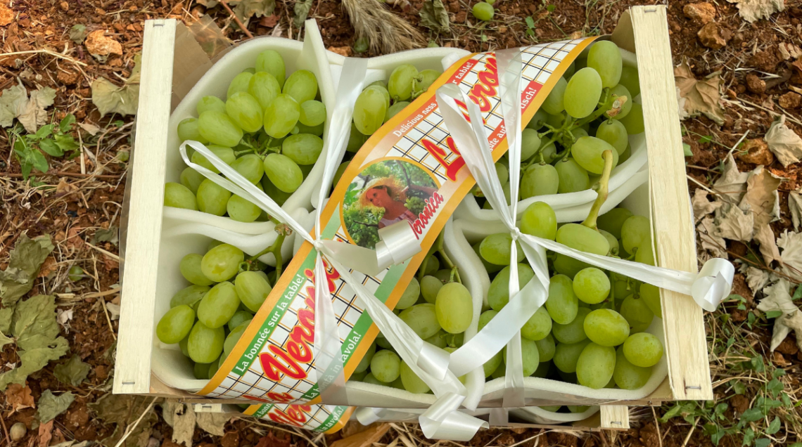 Uva da tavola verde in una cassetta