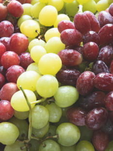 diversi grappoli d'uva bianca e rossa
