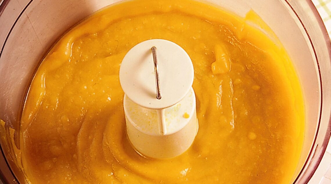 zucca frullata nel frullatore