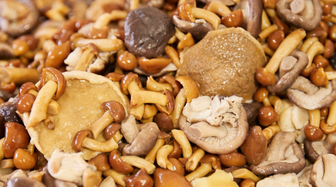 assortimento di funghi