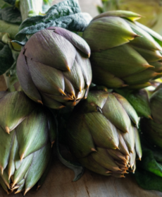 Mazzo di carciofi
