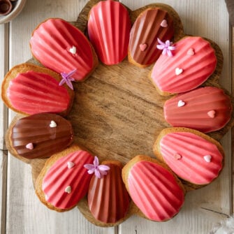 Madeleine ricoperte di cioccolato
