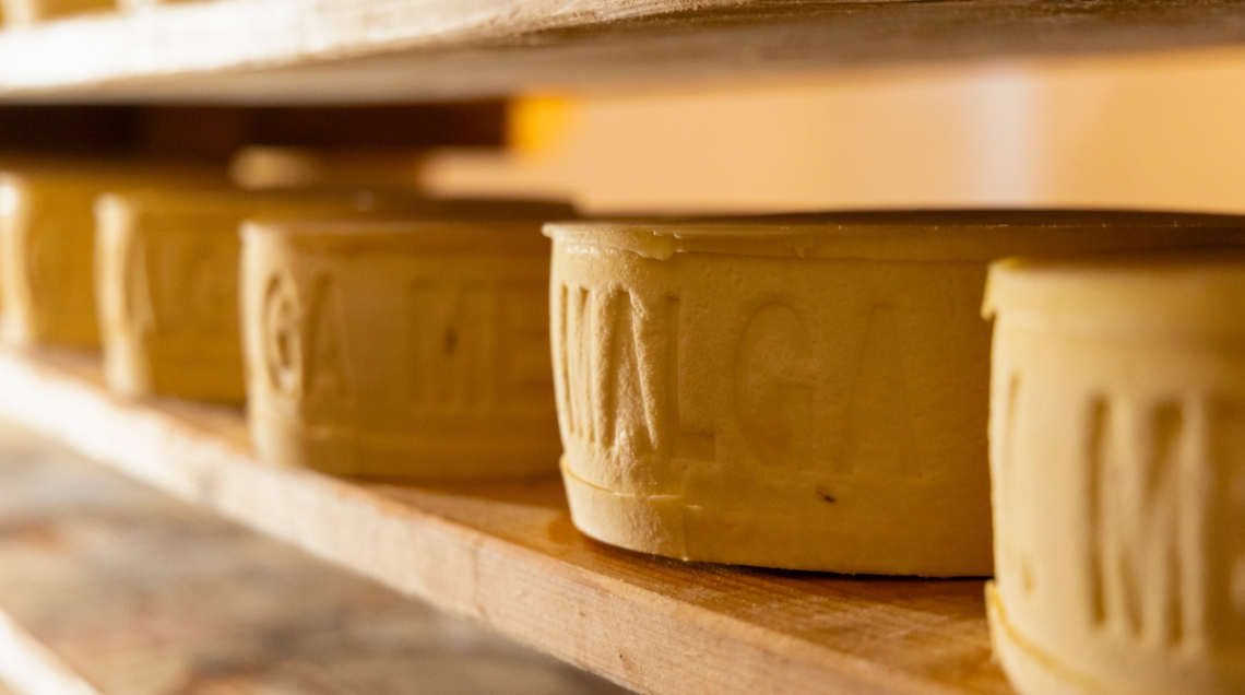 forme di formaggio di Malga