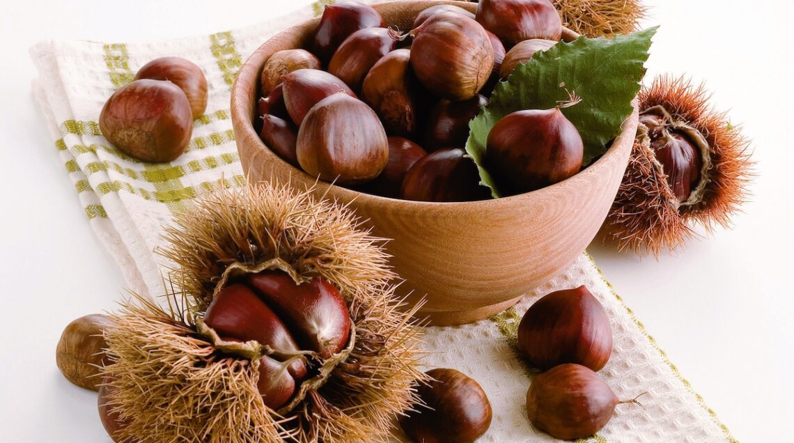 castagne con e senza riccio
