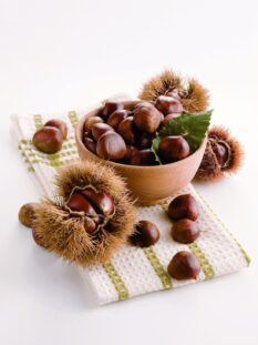 castagne con e senza riccio