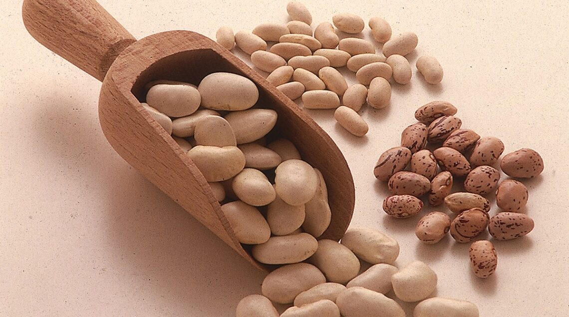 fagioli secchi misti