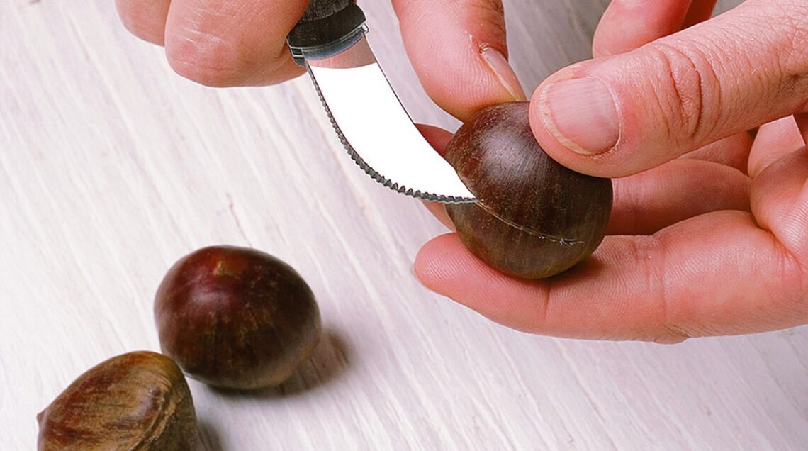 castagna incisa con un coltellino
