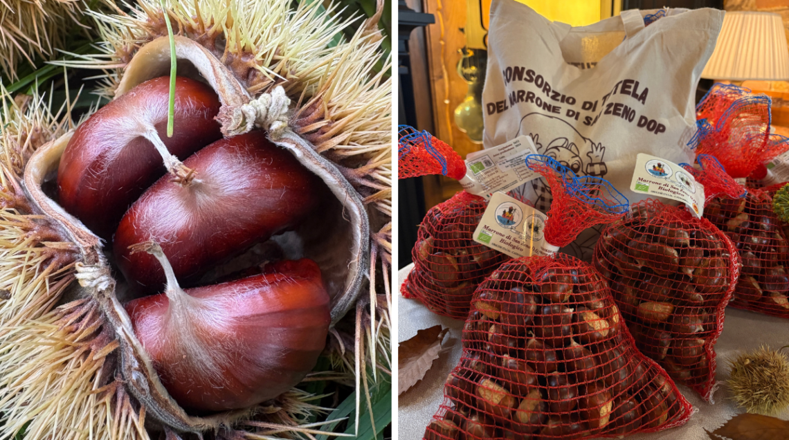 marroni di San Zeno ancora all'interno del riccio a sinistra e marroni nelle apposite confezioni stabilite dal Consorzio per la vendita