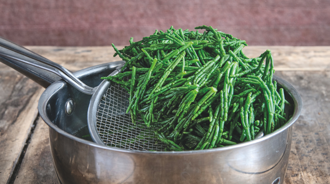 salicornia appena sbollentata in un colino sopra una pentola d'acciaio